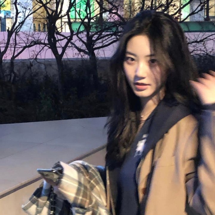 罗伯特·齐默尔曼的爱情