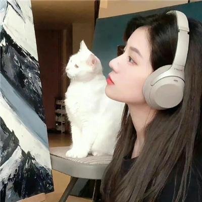 虫虫的异想生活